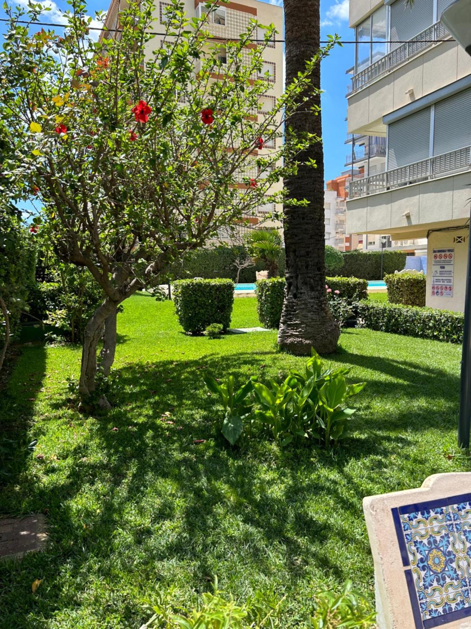 Apartamento Gandia Playa 150M Playa Con Parking Privado Y Piscina Playa de Gandia Экстерьер фото